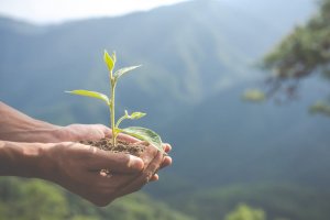 Técnicas Aplicadas ao Meio Ambiente