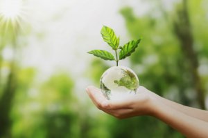 Introdução à Geografia e Meio Ambiente