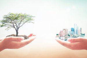 Introdução à Gestão e Licenciamento Ambiental