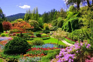 Introdução às Técnicas de Paisagismo